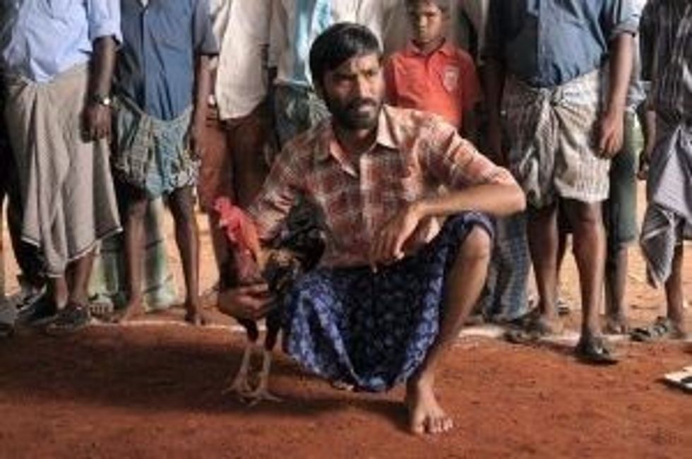 A Aadukalam 1