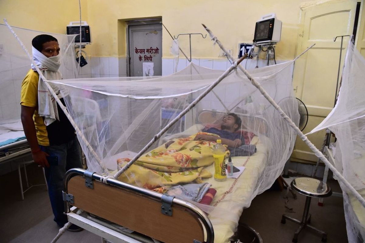 Dengue suspected of killing several in Uttar Pradesh