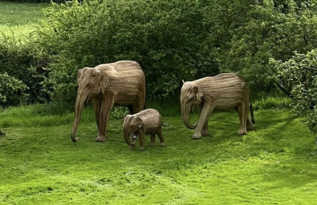 Boris Johnson’s wife gifts him wooden elephants from India on birthday