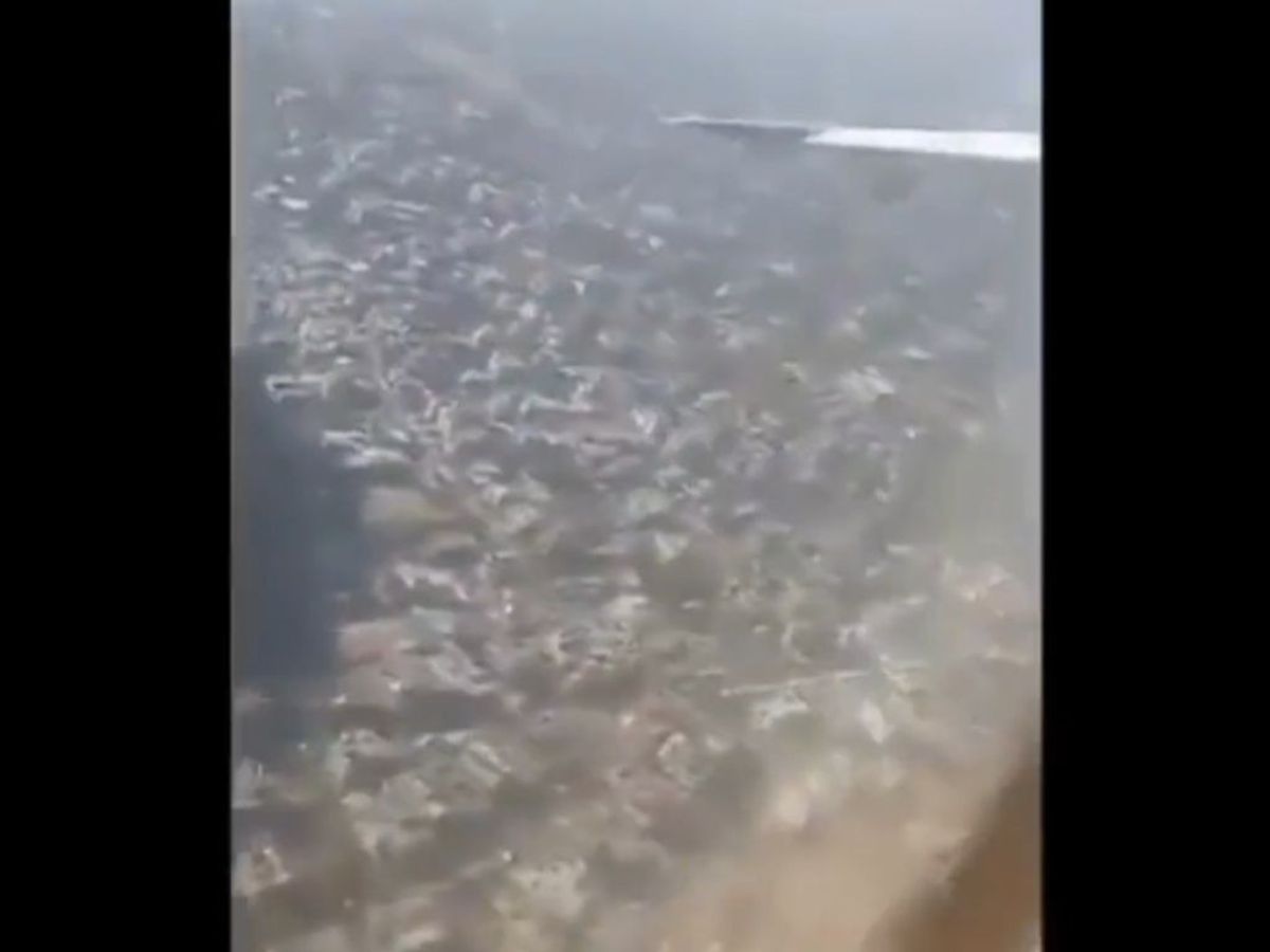 A video taken from inside the ill-fated Yeti Airlines aircraft moments before it crashed in Pokhara in Nepal