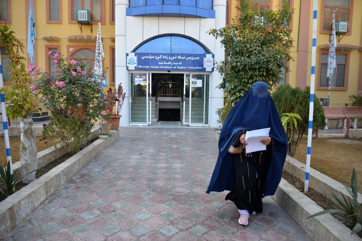Afghanistan's Taliban ban university education for women