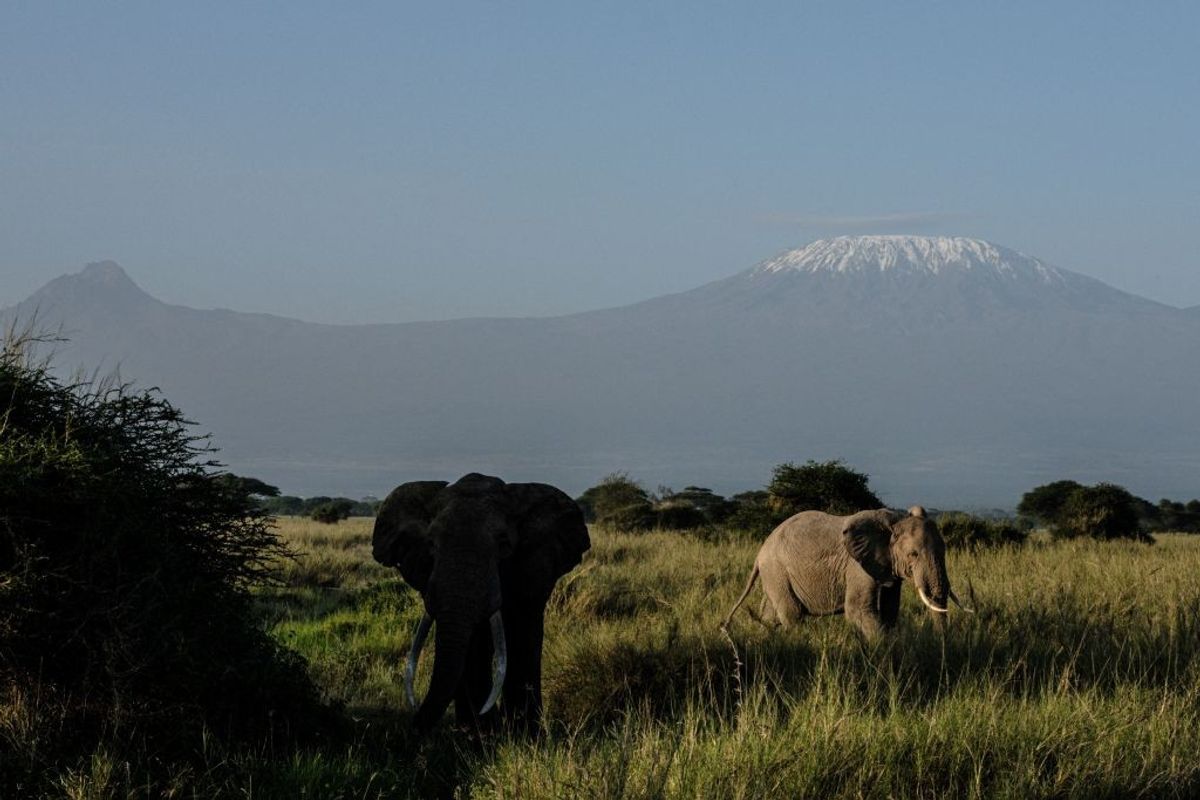 Indian boy, mother from UAE scale Africa's top peak Kilimanjaro