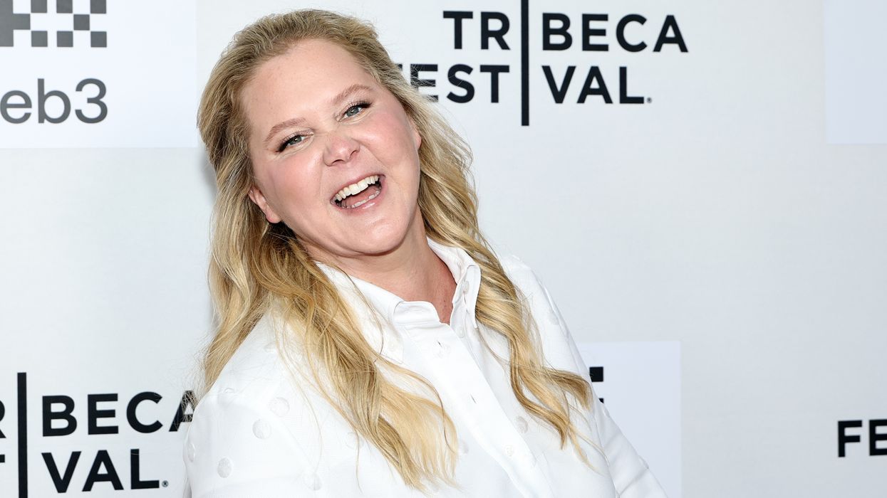 Amy Schumer Wipes Instagram Posts After Weight Loss Journey
