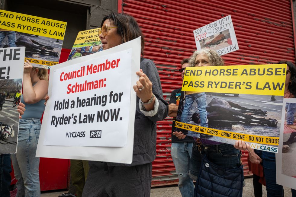 Animal welfare groups