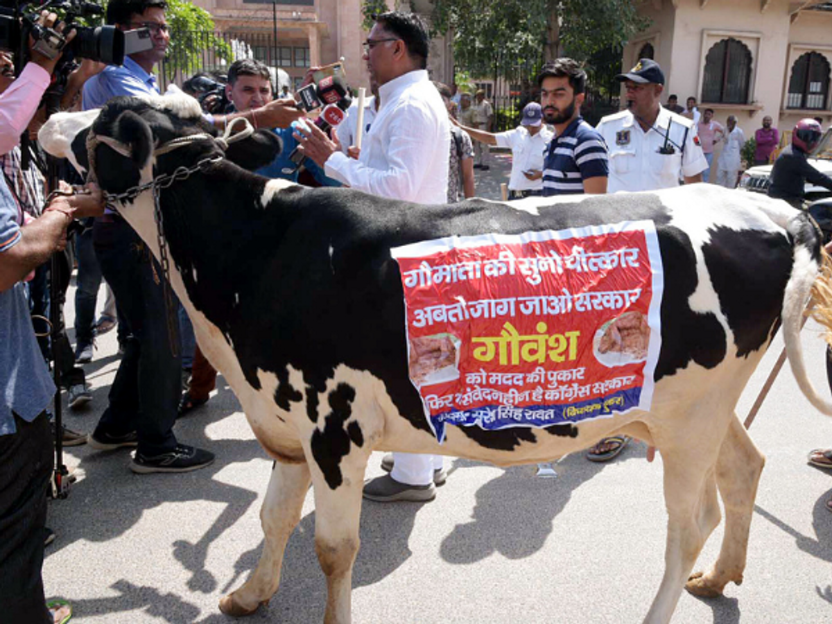 BJP protests against lumpy skin disease