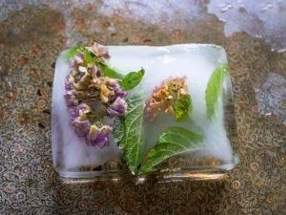 Blue Photo Modern Listing Presentation 10