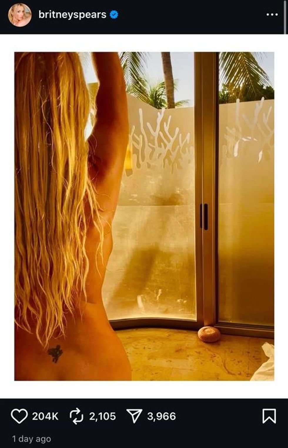 Britney Spears Nude Photo