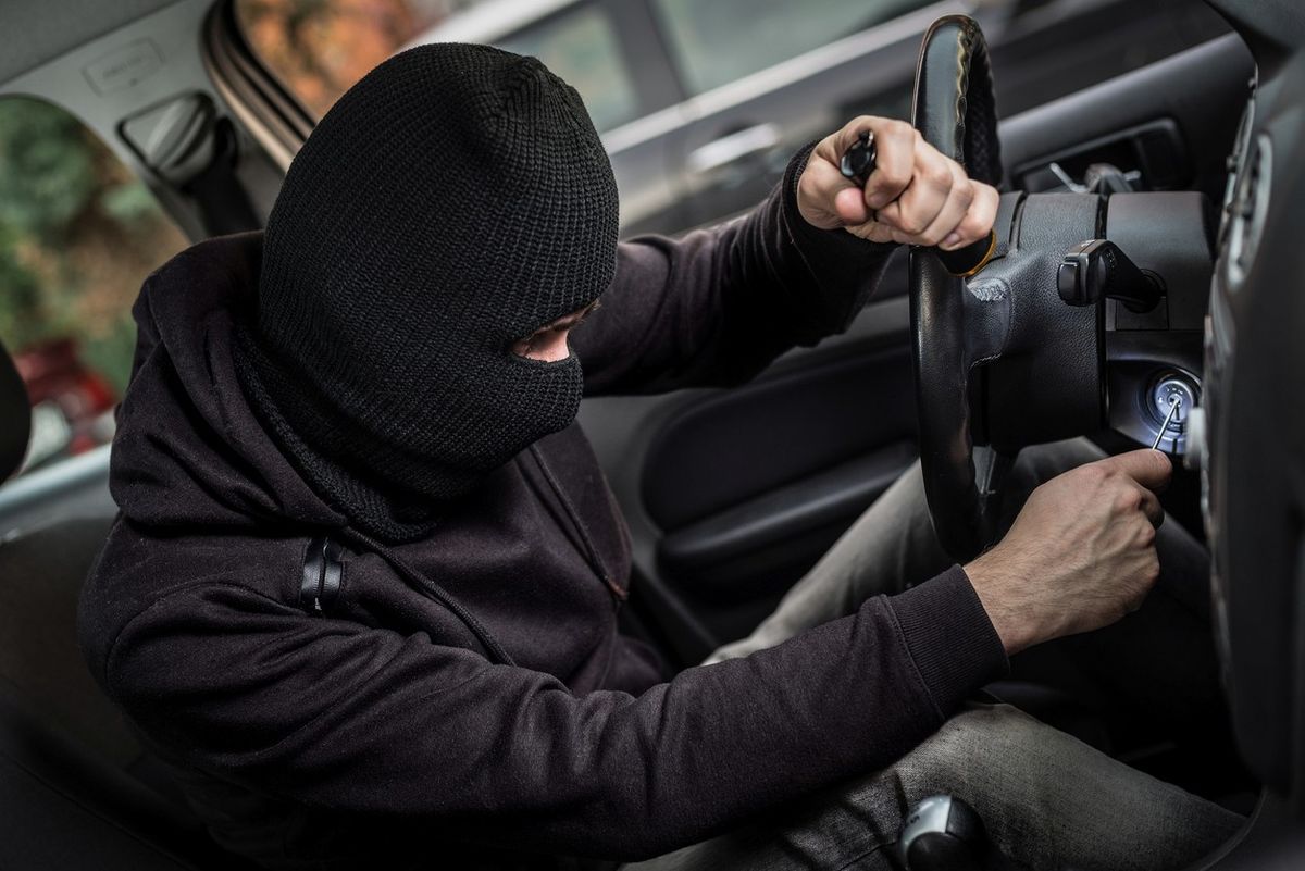 car theft syndicate busted