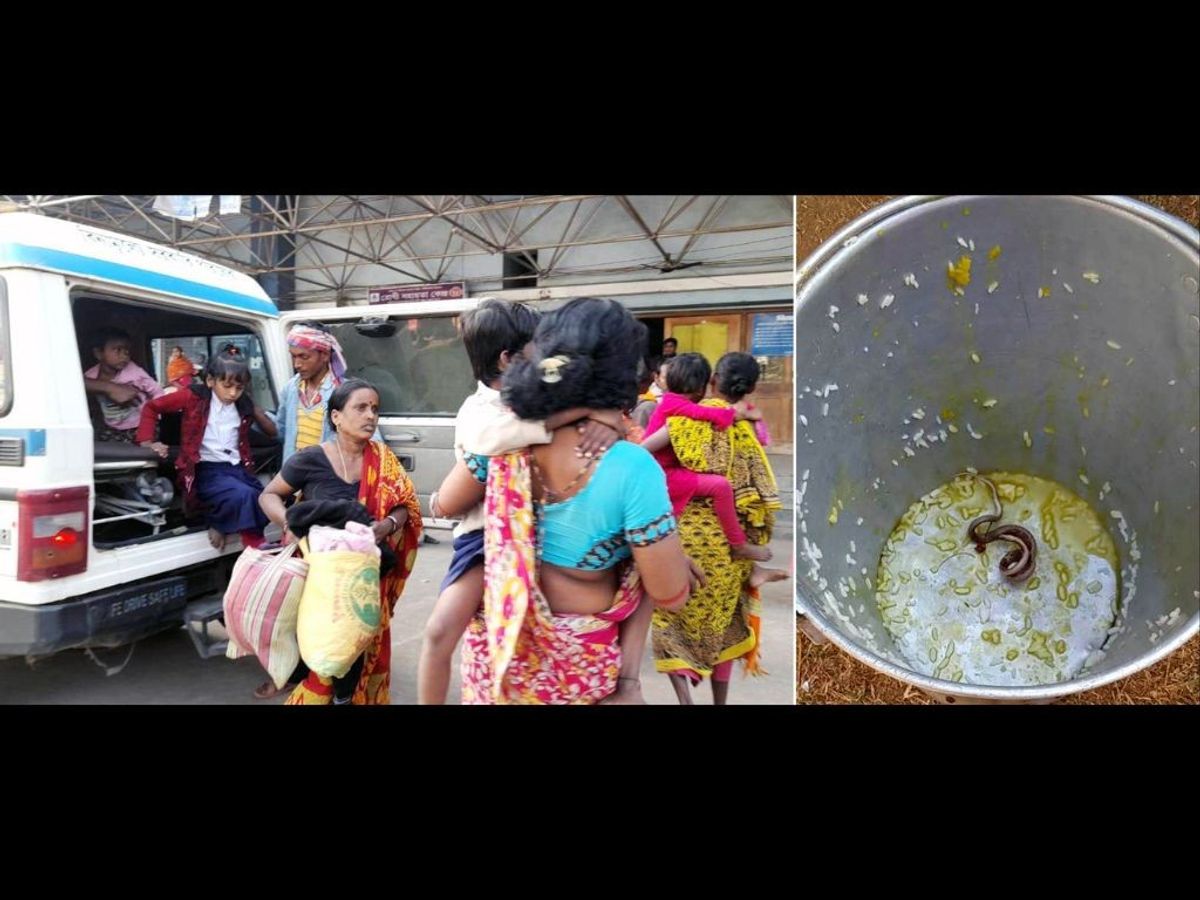 (Combo pic) A snake was found in one of the food containers in the midday meal served at a government school in India