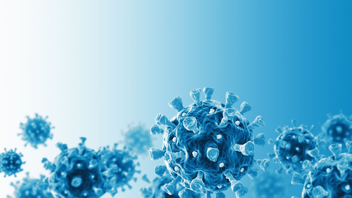 Covid variant from India now present in 44 countries: WHO