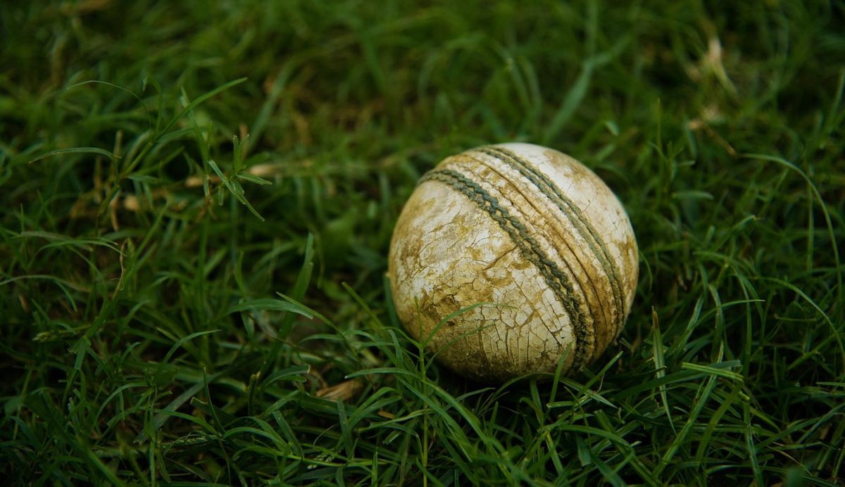cricket-ball-saliva