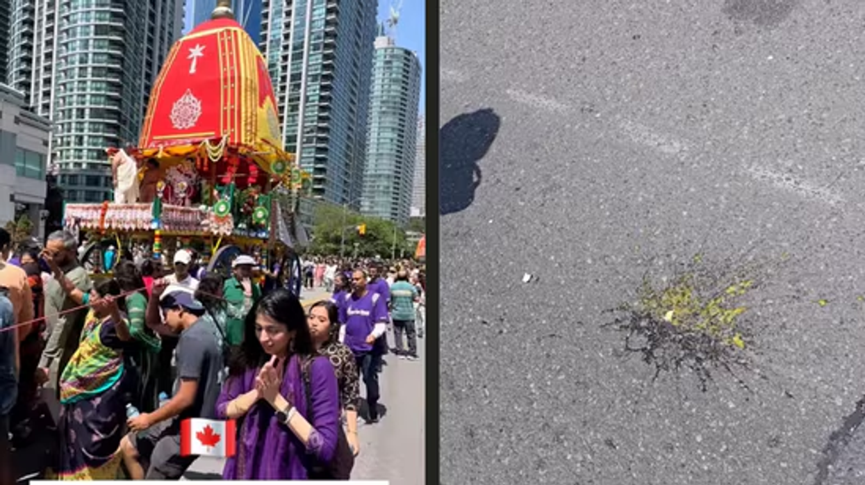 India condemns egg attack on Rath Yatra devotees in Toronto, urges Canada to act