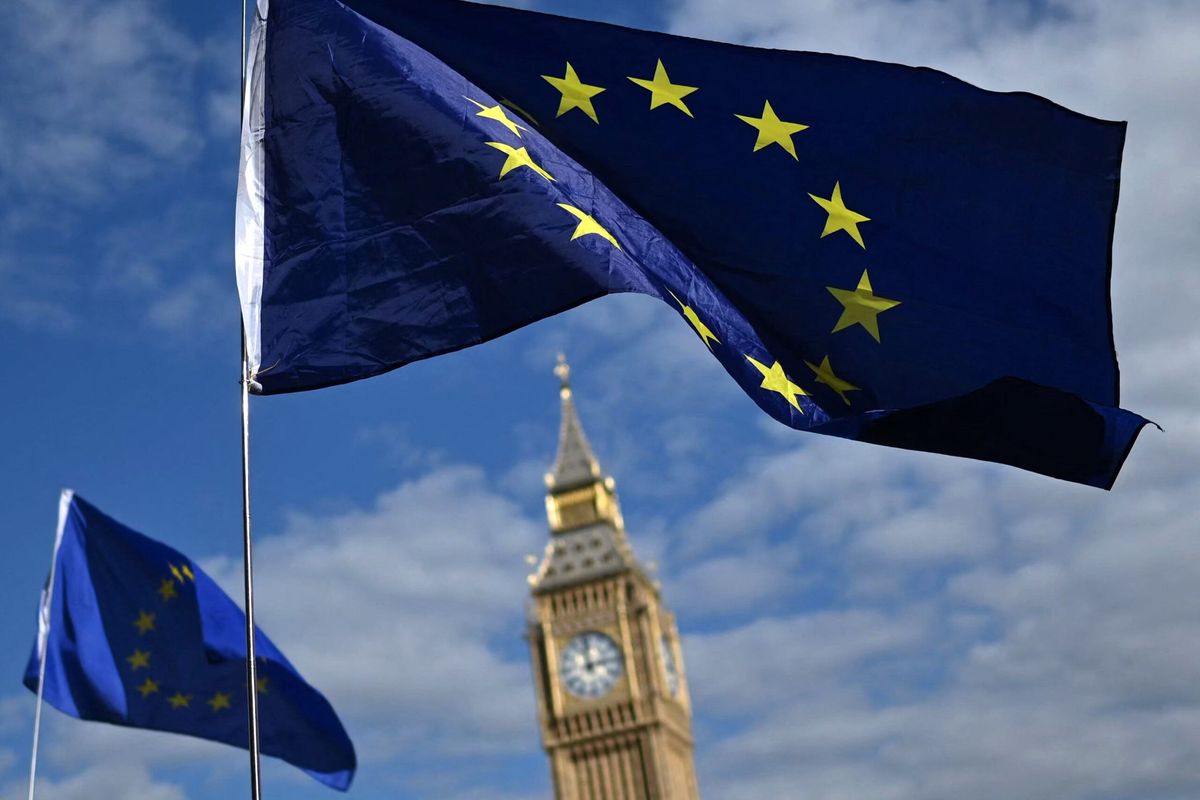 EU single market return ‘has majority support’