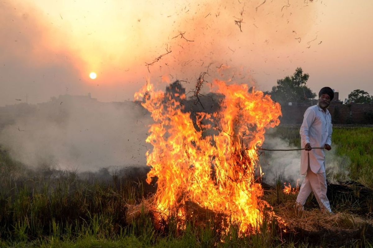 Farmers cite lack of options as stubble burning turns air toxic in northern India