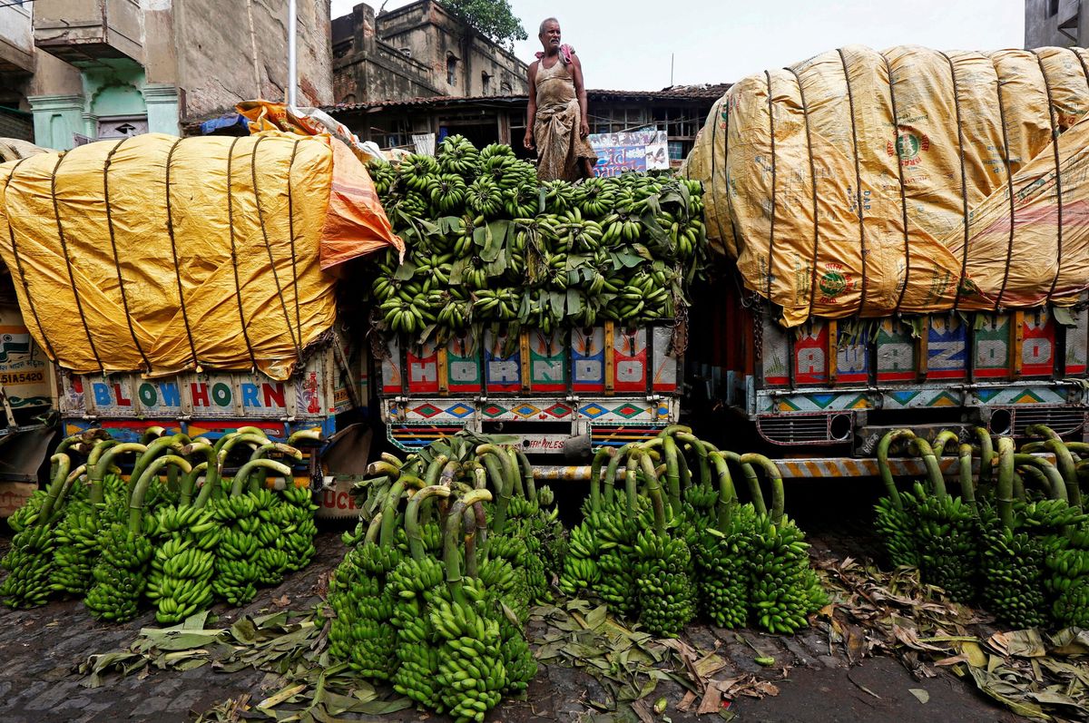 Russia turns to India for bananas amid trade tensions
