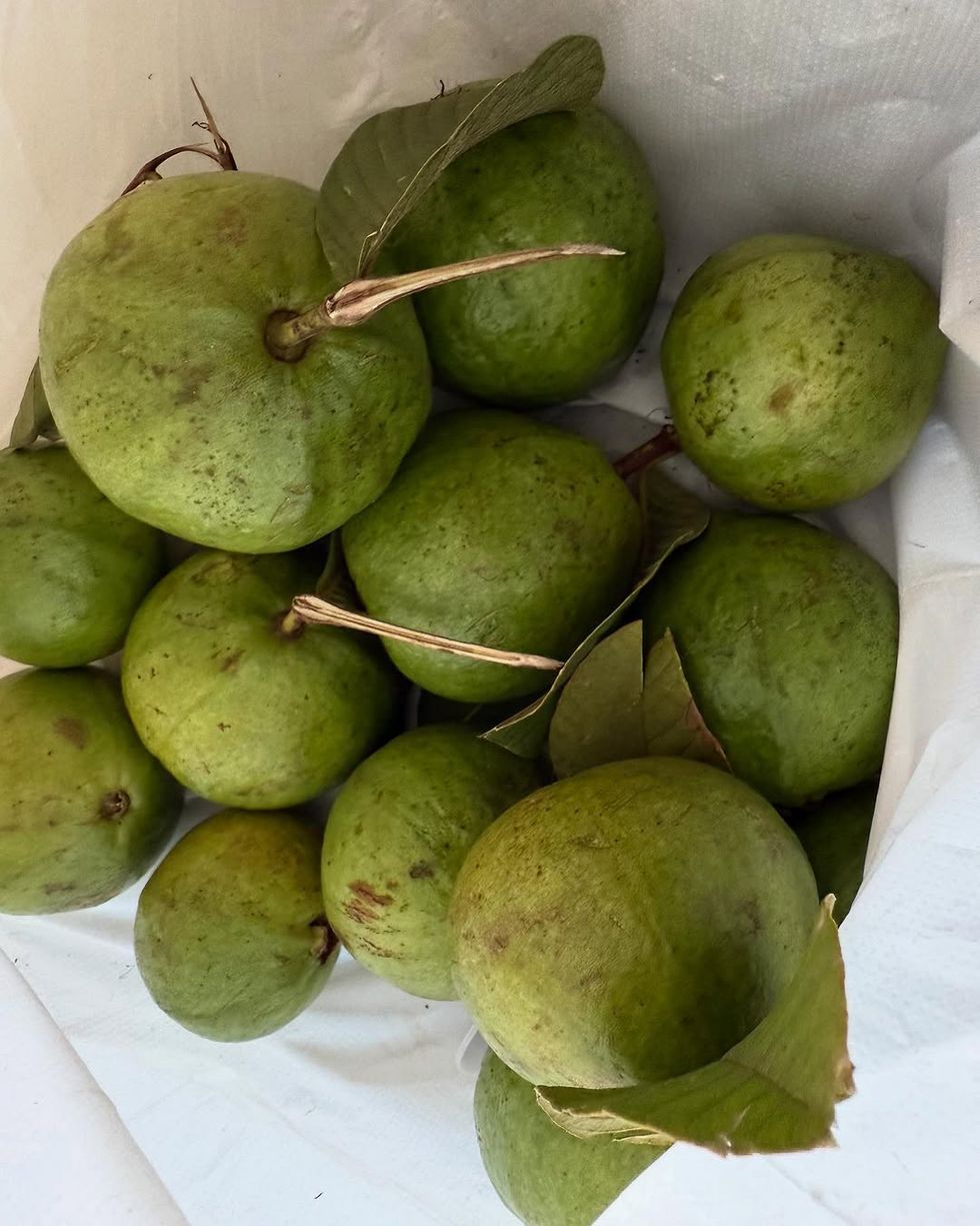 guavas priyanka chopra