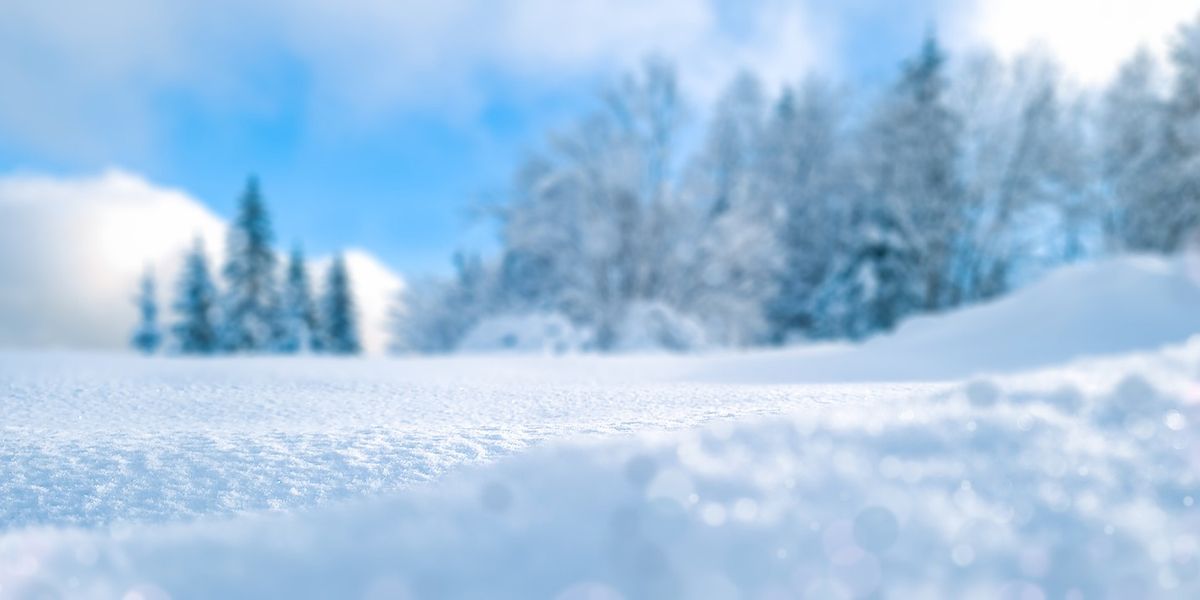 Heavy Overnight Snow Force School Closures Across Cincinnati - India Weekly