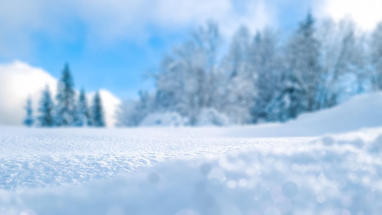 Heavy Overnight Snow Force School Closures Across Cincinnati