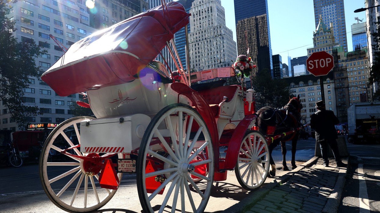 horse-drawn carriage