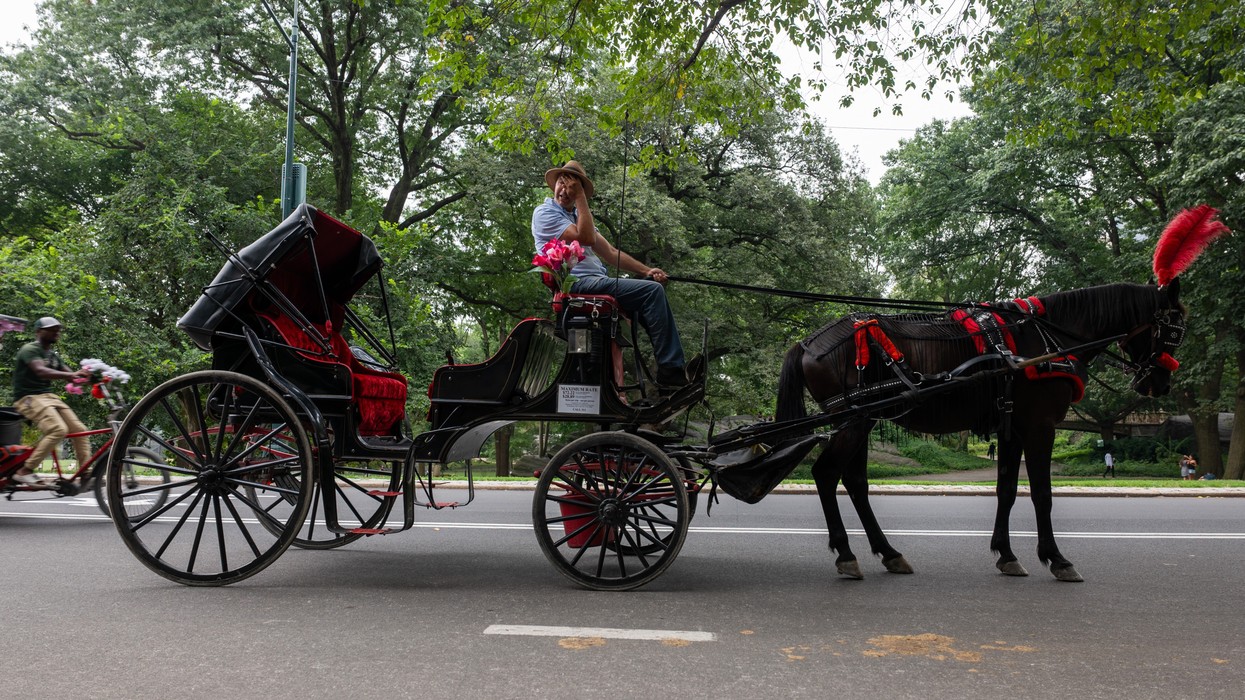 Horse-drawn carriages in Central Park