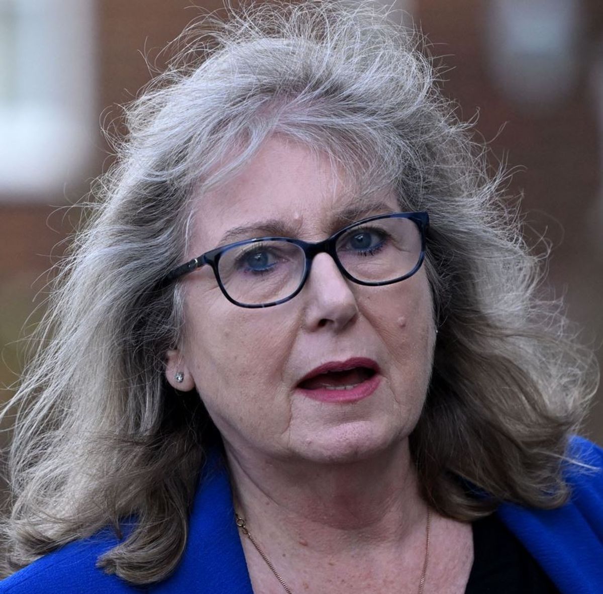 Campaign group reveals Susan Hall’s controversial Twitter engagement