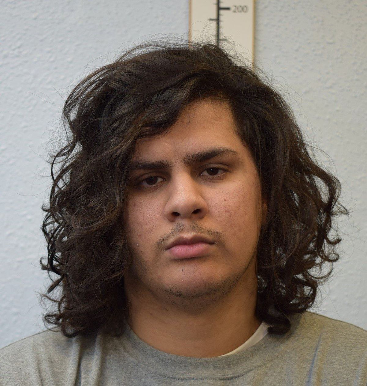 Londoner jailed for glorifying terrorism on online platforms