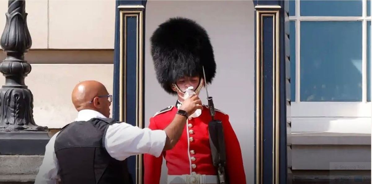 ‘This is stupid and irresponsible’: Netizens outrage over thirsty Queen’s Guard outside Buckingham palace amid heatwave