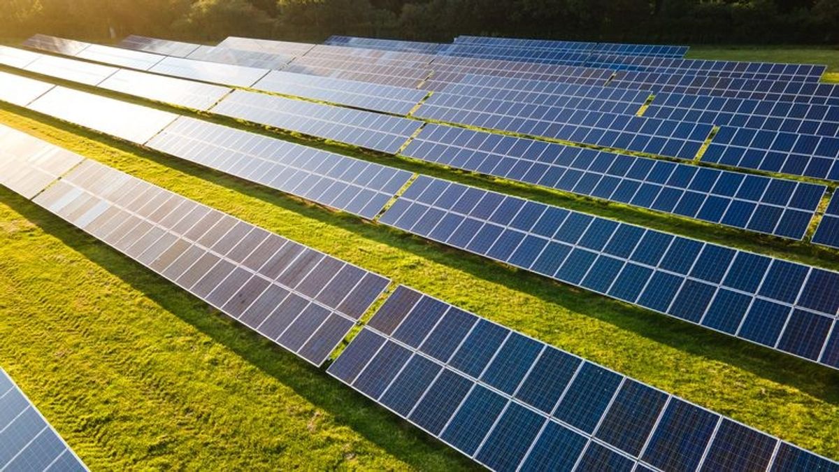 Solar power investment to exceed oil production for the first time: IEA
