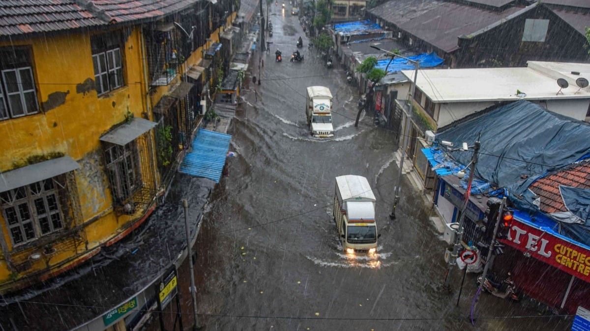 Mangroves destruction to blame for flooding in Mumbai: Experts