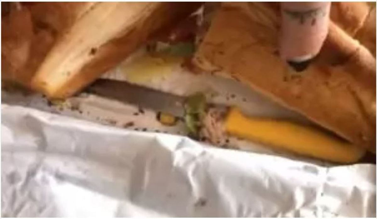 Pregnant woman shell-shocked after finding knife in her subway sandwich