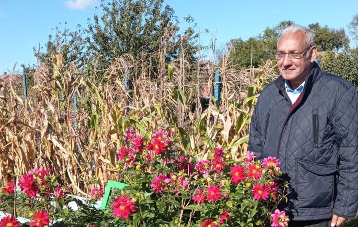 Asians root for ‘grow your own’ amid scarcity of plots