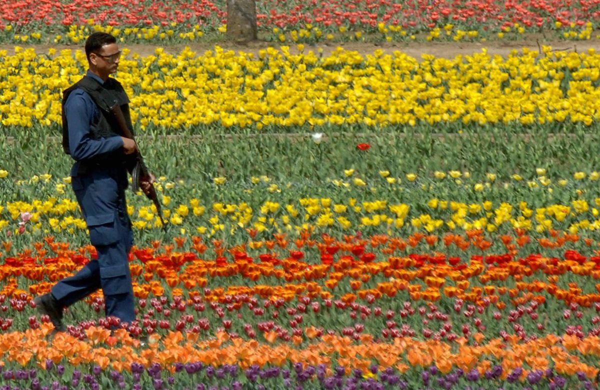 Asia’s largest tulip garden in Kashmir opens for visitors on March 19th