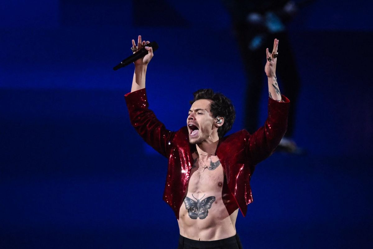 Harry Styles stops concert for pregnant fan to use washroom