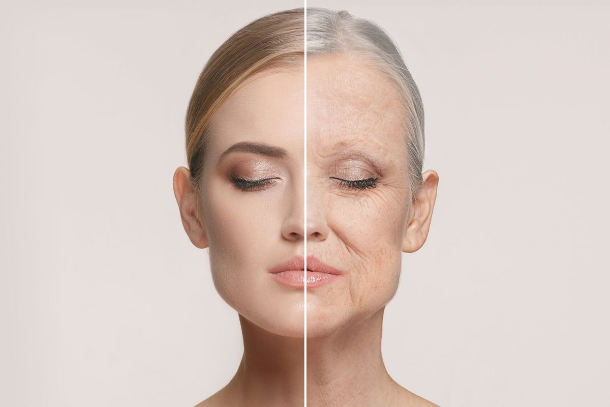 Harvard scientists discover breakthrough drug for rapid reversal of aging