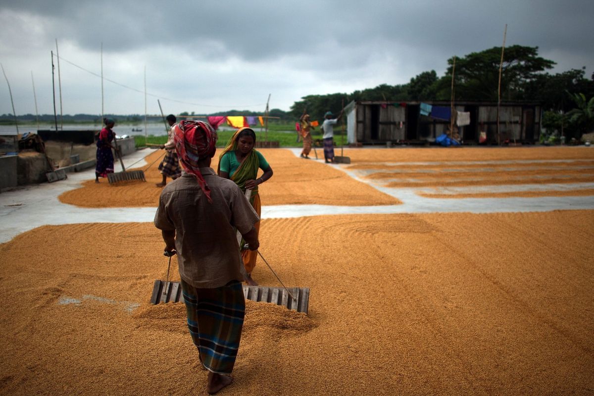 India allows rural poor to work in virus lockdown