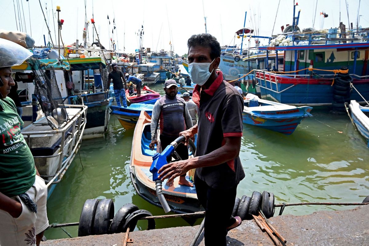 Plenty of fish but no catch as Sri Lanka economic crisis bites