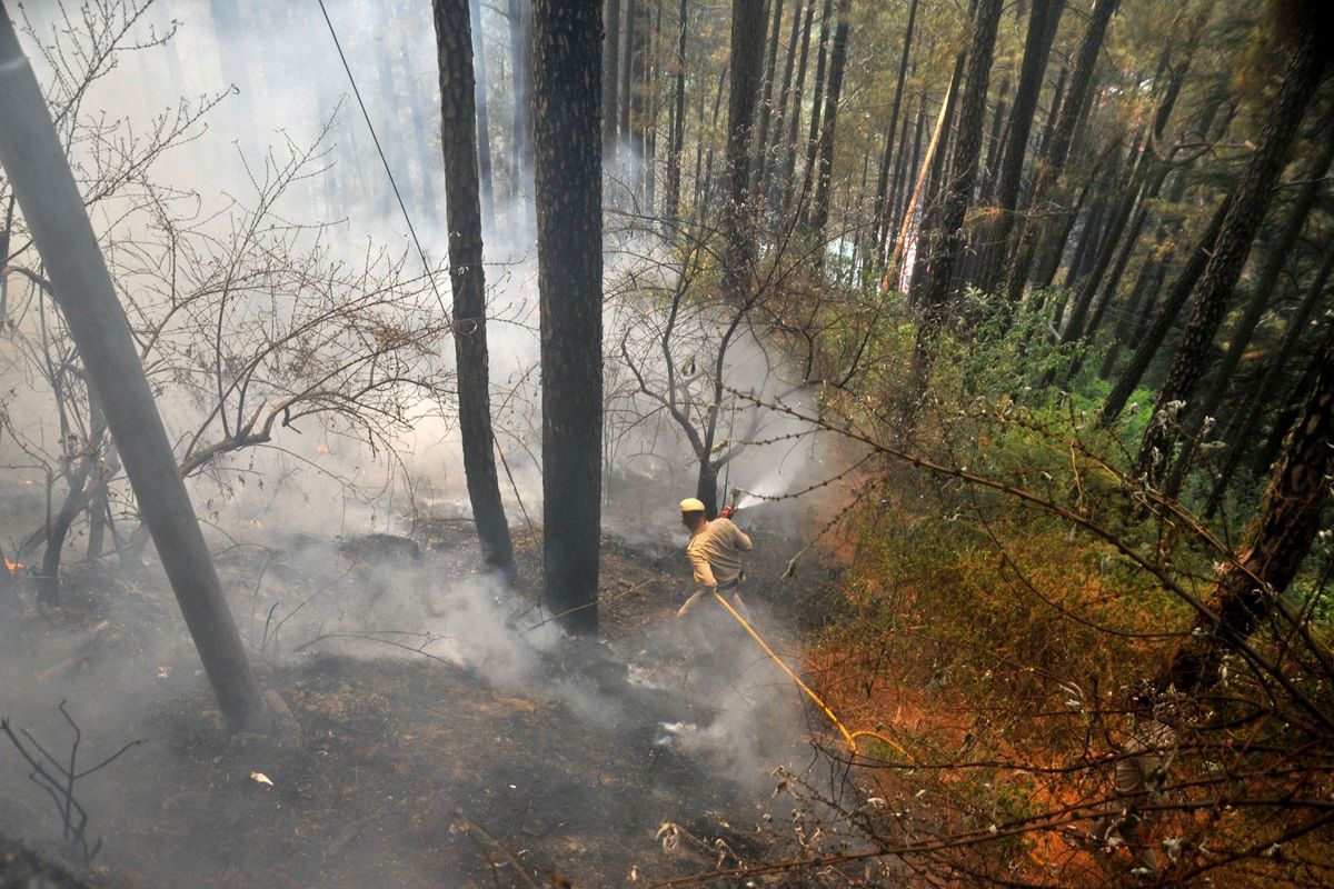 Power cuts, forest fires in South Asia heatwave