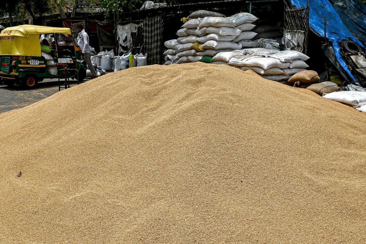 US urges India to reverse ban as wheat-laden trucks, ships stranded at port