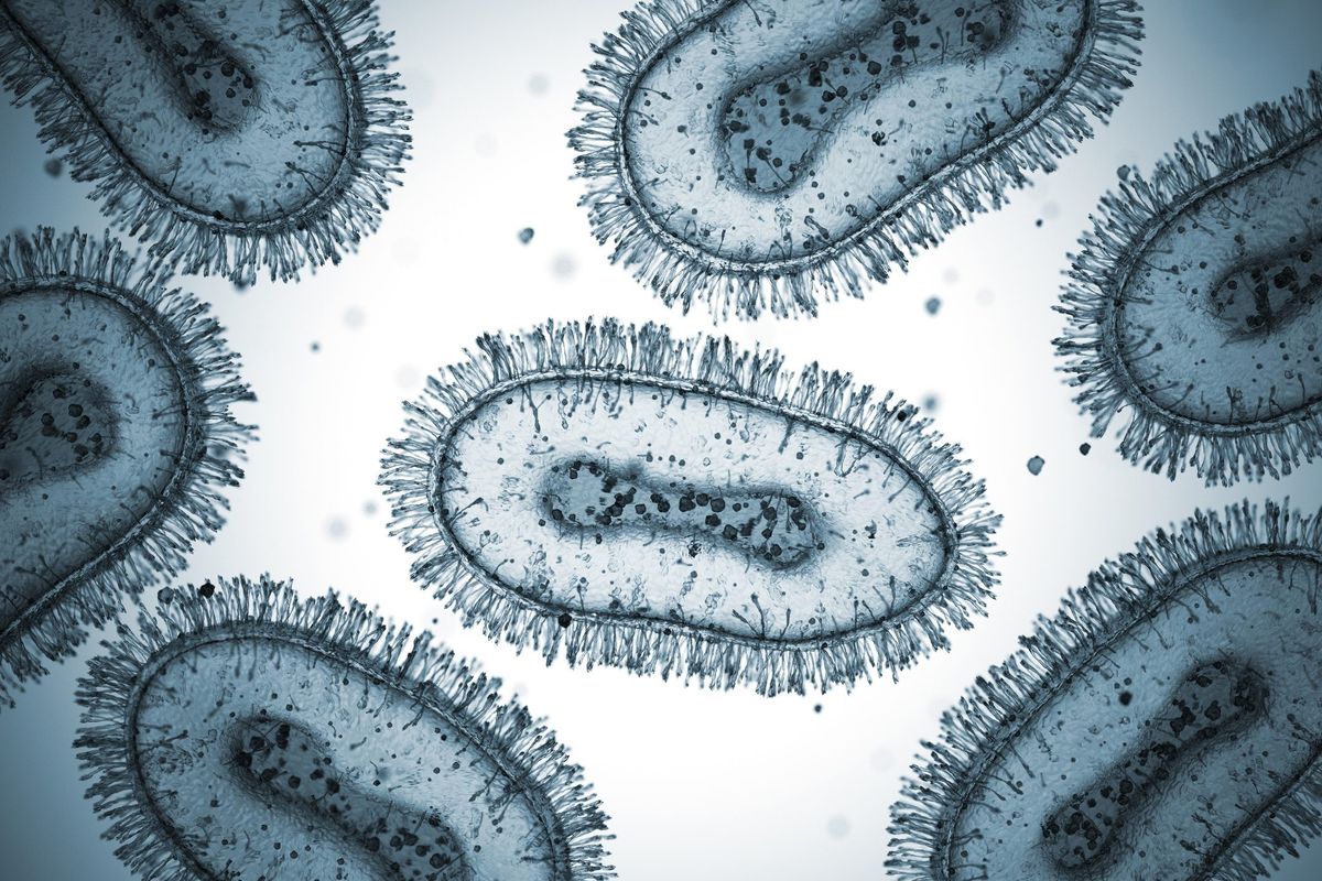 Monkeypox may soon have a new name, here’s why