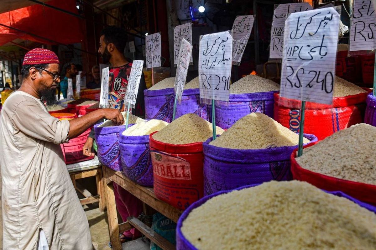 Pakistan’s rice exporters benefit from India’s export ban