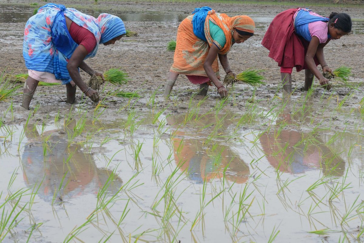 India likely to double cash handouts to women farmers