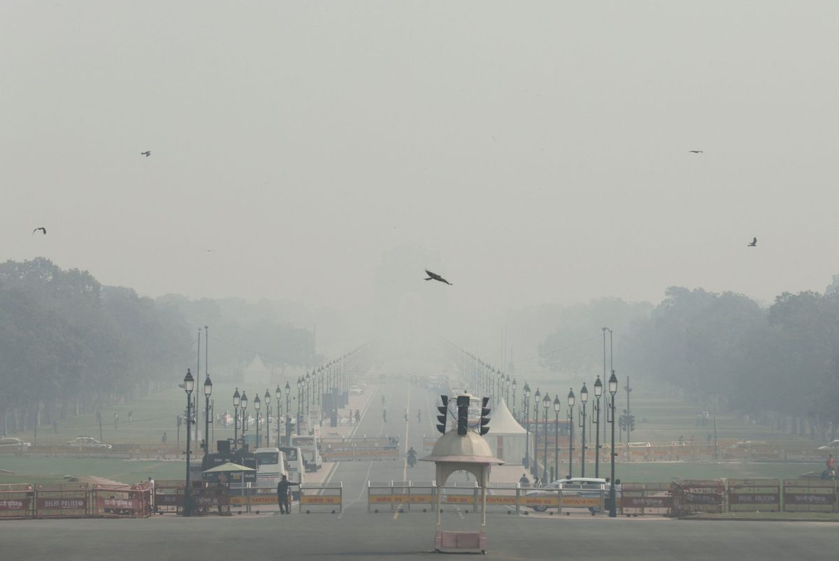 Pollution: New Delhi implements week-long vehicle ban