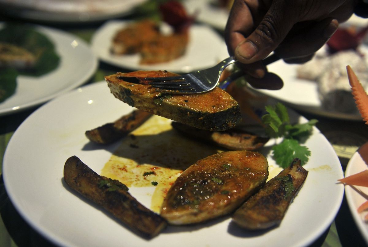 Hilsa fish absent for almost 50 years may make comeback in Uttar Pradesh’s menu