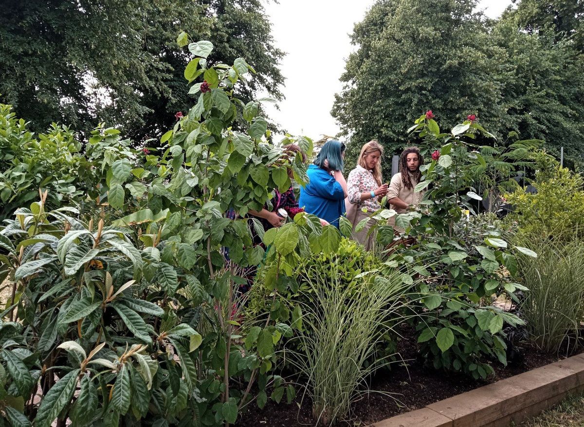 RHS Hampton Court Palace Garden Festival: Dealing with the hot stuff