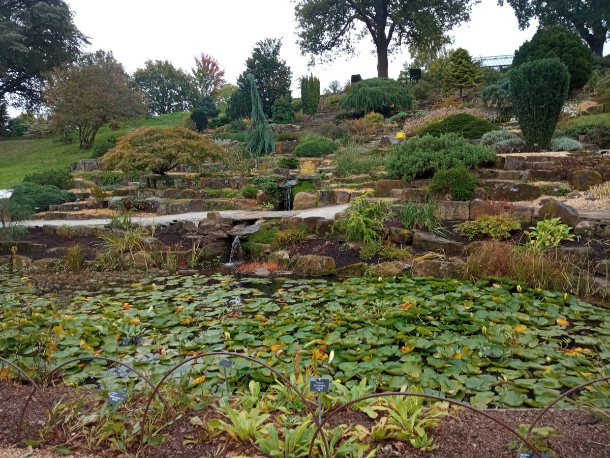 Joy and benefits of gardening