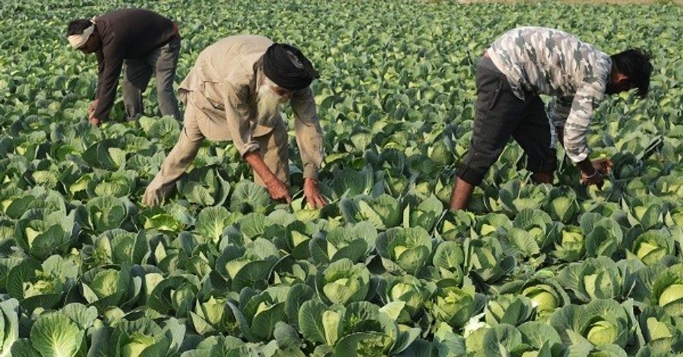 Technology Eases Farming 'Drudgery' And Risk As Climate Threats Grow