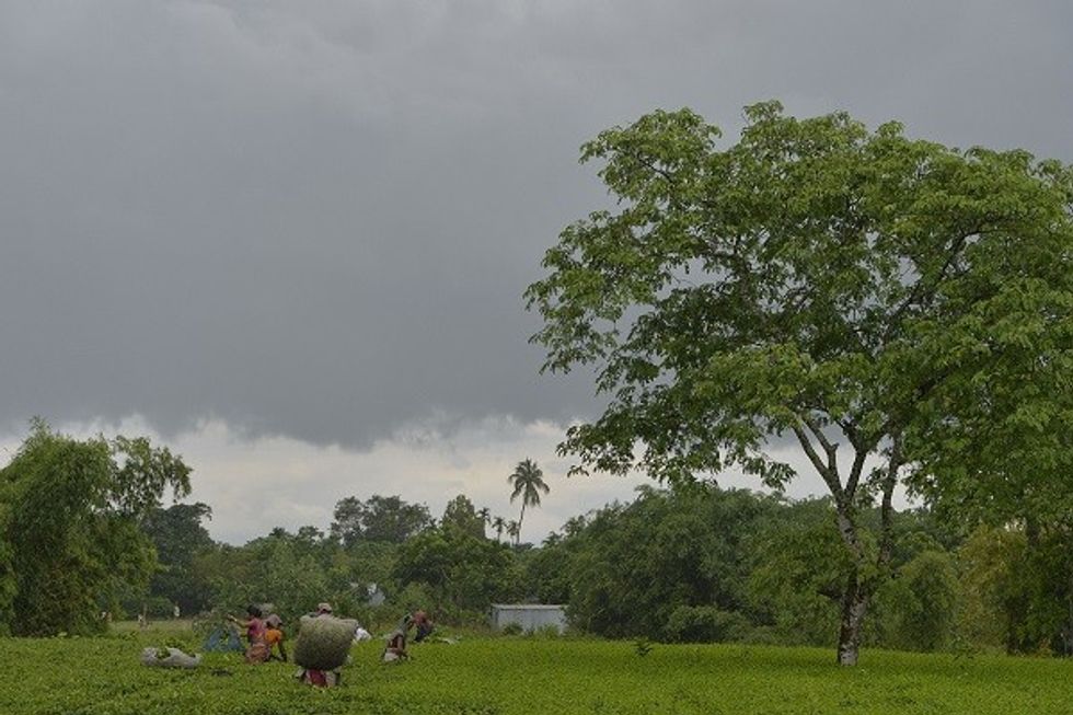 India May Witness Average Monsoon Rains In 2019