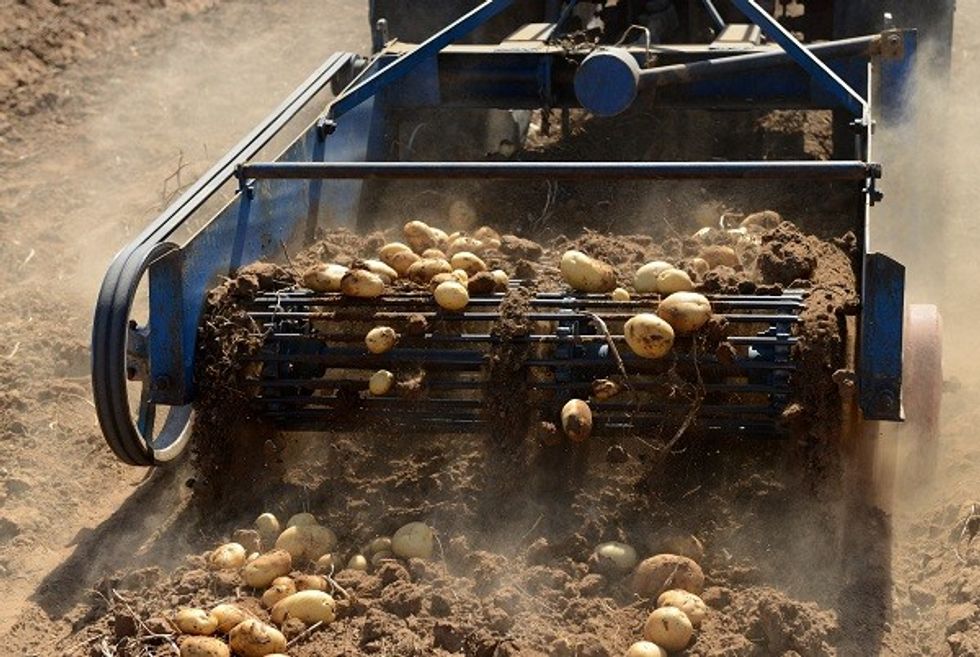 PepsiCo Accused Of Coercing Farmers By Group Close To India’s Bharatiya Janata Party