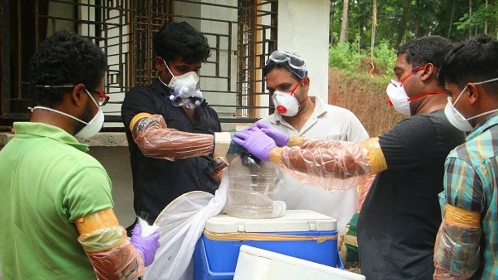 Nipah Virus Resurfaces In India