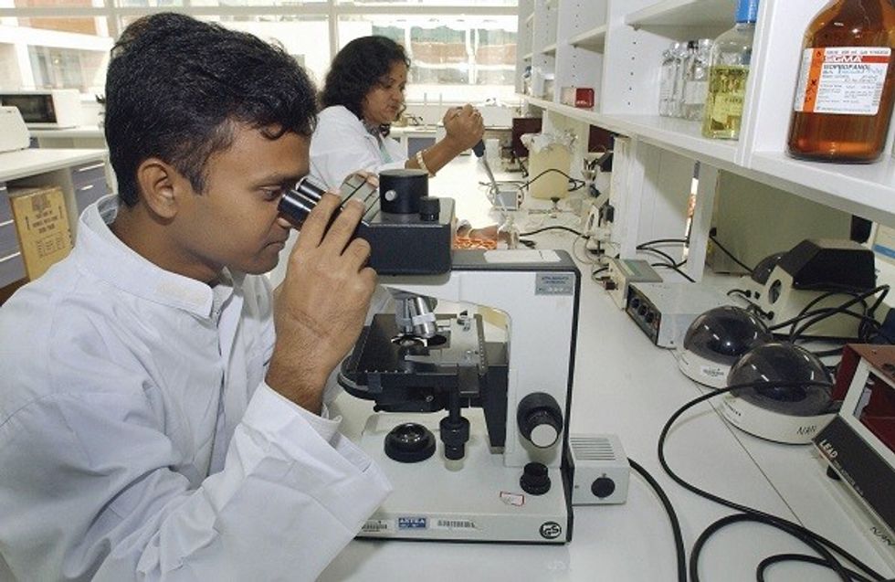 Indian Researchers Decode How Lead Toxicity May Cause Fatty Liver